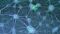How to Tri-Culture Human Pluripotent Stem Cell (hPSC)-Derived Forebrain Neurons, Astrocytes, and Microglia