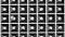 Generate Size-Controlled Spheroids and Embryoid Bodies Using AggreWell™ Microwell Plates