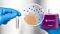 EasySep™ Cell Isolation Starting Guide: Tips & Tricks