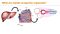 Adding Hepatic Organoids to Your Research