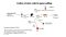 CRISPR-Cas9 Editing of Hematopoietic Stem and Progenitor Cells