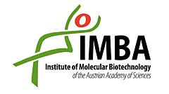 STEMCELL Technologies Signs Exclusive Agreement with the Institute of Molecular Biotechnology to Commercialize Cerebral Organoid Culture Systems