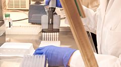 TeSR™-E8™ and STEMdiff™: New Products to Advance Research on Human Pluripotent Stem Cells