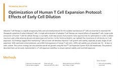 Optimization of Human T Cell Expansion Protocol: Effects of Early Cell Dilution