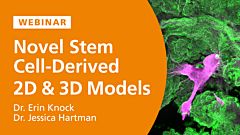 Novel Methods for the Development of Stem Cell-Derived 2D and 3D Models