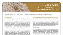 Hematopoietic Stem and Progenitor Cells (HSPCs)
