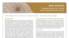 Hematopoietic Stem and Progenitor Cells (HSPCs)