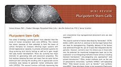 Pluripotent Stem Cells