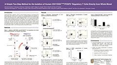 Isolation of Human CD4+CD25+Bright/Foxp3+ Regulatory T Cells Directly from Whole Blood