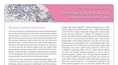 Monolayer Culture of Human Mammary Epithelial Cells
