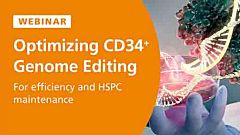 Optimizing CD34+ Cell Genome Editing for Efficiency and HSPC Maintenance