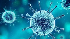 Canadian Biotechnology Company STEMCELL Technologies Provides Critical Support to Sequence the COVID-19 Virus