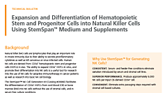 Expansion and Differentiation of Hematopoietic Stem and Progenitor Cells into Natural Killer Cells