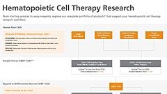 Hematopoietic Cell Therapy Research Workflow
