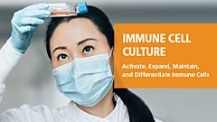 Immune Cell Culture