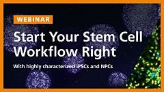 Highly Characterized Human iPSCs and NPCs for Downstream Differentiation Applications