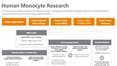 Human Monocyte Research Product Workflow