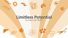 Limitless Potential: Do More with TeSR™