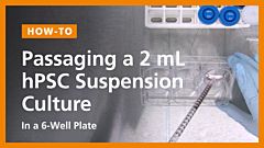 Passaging a 2 mL hPSC Suspension Culture in a 6-Well Plate