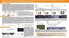 Scale-up of Human Pluripotent Stem Cells and Differentiation to Megakaryocytes or Neural Crest Cells in 3D Suspension Culture