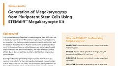 Generation of Megakaryocytes from Pluripotent Stem Cells Using STEMdiff™ Megakaryocyte Kit