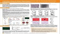 Suspension Culture Of Human Mesenchymal Stromal Cells On Dissolvable Microcarriers In An Animal Component-free Culture System