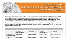 Mouse Pancreatic Exocrine Organoid Culture: Supplementary Protocols