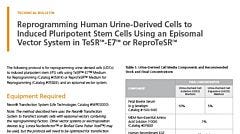 Reprogramming Human Urine-Derived Cells to Induced Pluripotent Stem Cells Using an Episomal Vector System in TeSR-E7 or ReproTeSR