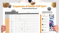 Frequencies of Cell Types in Human Peripheral Blood