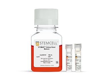 STEMdiff™ Kidney Organoid Kit