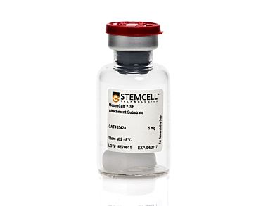 MesenCult™-SF Attachment Substrate