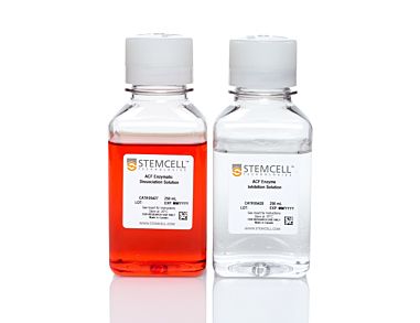 Animal Component-Free Cell Dissociation Kit