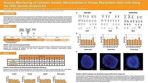 Routine Monitoring of Common Genetic Abnormalities in Human Pluripotent Stem Cells