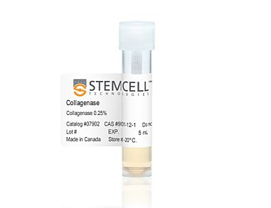 Collagenase Type I (0.25%)