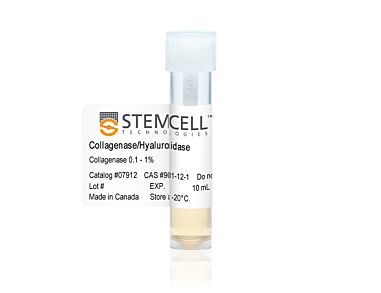 Collagenase/Hyaluronidase