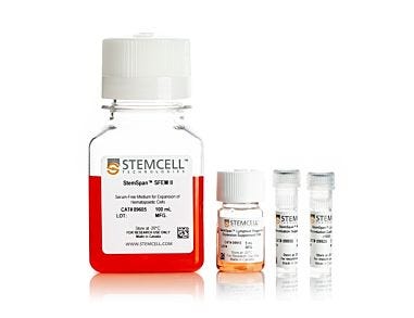 StemSpan™ NK Cell Generation Kit
