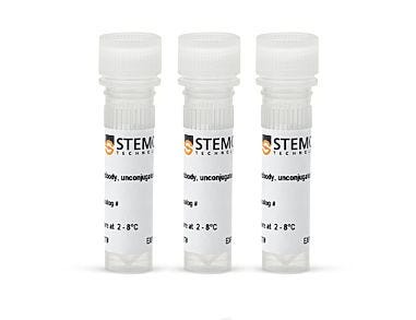 Extracellular Vesicle Human CD9/CD63/CD81 Antibody Panel