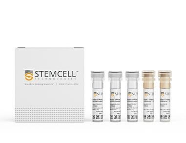 EasySep™ Mouse TIL (CD45) Positive Selection Kit 