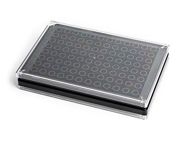 Corning® 96-Well Half-Area High-Content Imaging Microplate