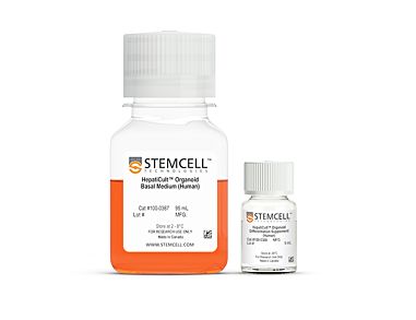 HepatiCult™ Organoid Differentiation Medium (Human)|100-0383