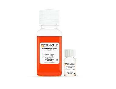 STEMdiff™ Choroid Plexus Organoid Maturation Kit