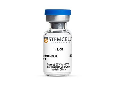 Human Recombinant IL-34