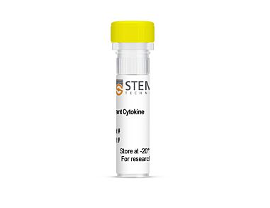 Human Recombinant gAdiponectin (gAcrp30), ACF