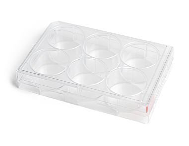 CellAdhere™ Fibronectin-Coated, 6-Well Flat-Bottom Plate|100-1194