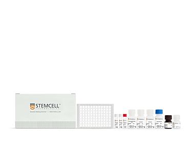 Human SARS-CoV-2 Nucleoprotein IgG Antibody ELISA Kit