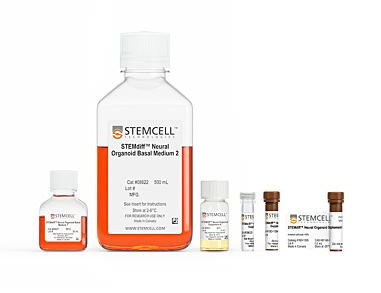 STEMdiff™ Midbrain Organoid Differentiation Kit