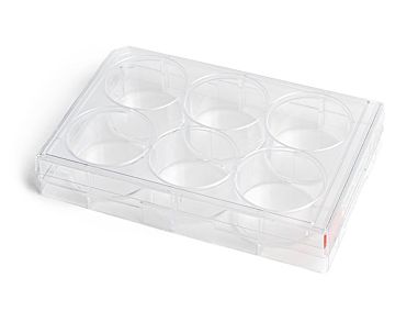 CellAdhere™ Fibronectin-Coated, 6-Well Flat-Bottom Plate|100-1194