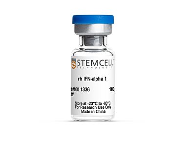 Human Recombinant IFN alpha 1
