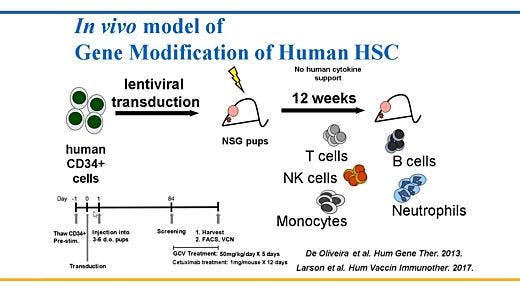 Humanized Mouse Models for Hematopoietic Stem Cell Research: Principles and Pitfalls