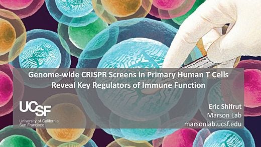 Re-imagining CRISPR Technology for Use with Primary Immune Cells: New Insights for Cell-Based Immunotherapy Research